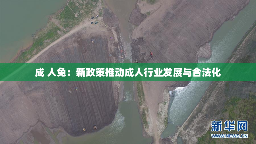 成 人免：新政策推动成人行业发展与合法化