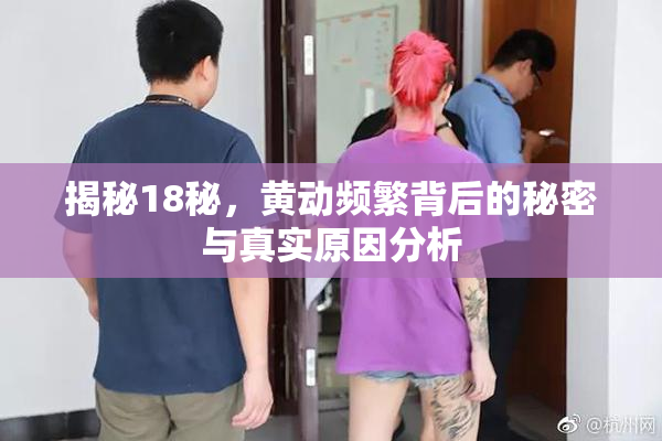 揭秘18秘，黄动频繁背后的秘密与真实原因分析