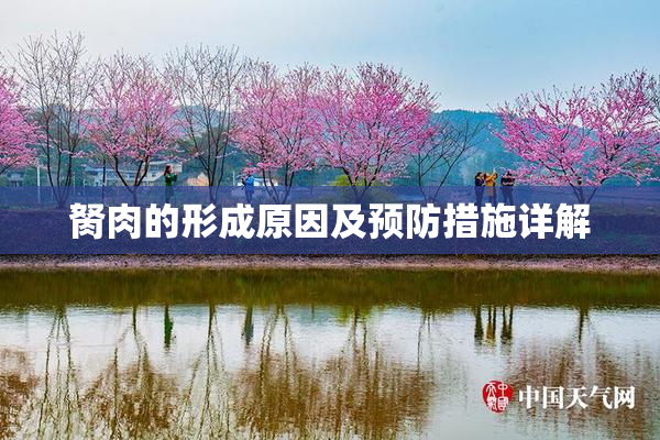 胬肉的形成原因及预防措施详解