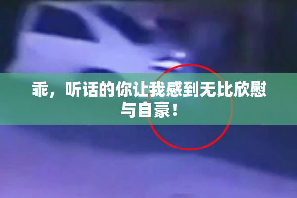 乖，听话的你让我感到无比欣慰与自豪！