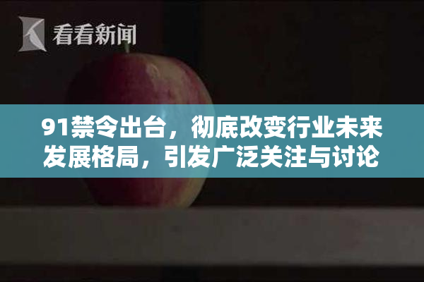 91禁令出台，彻底改变行业未来发展格局，引发广泛关注与讨论