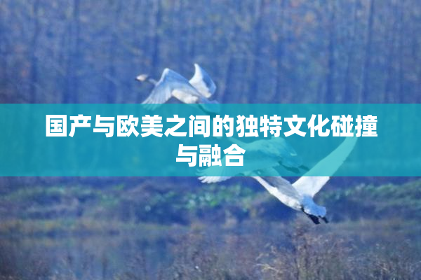 国产与欧美之间的独特文化碰撞与融合