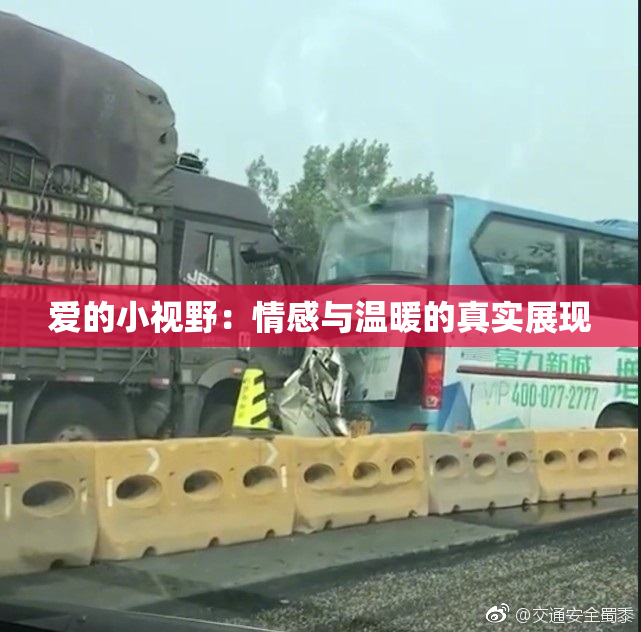 爱的小视野：情感与温暖的真实展现