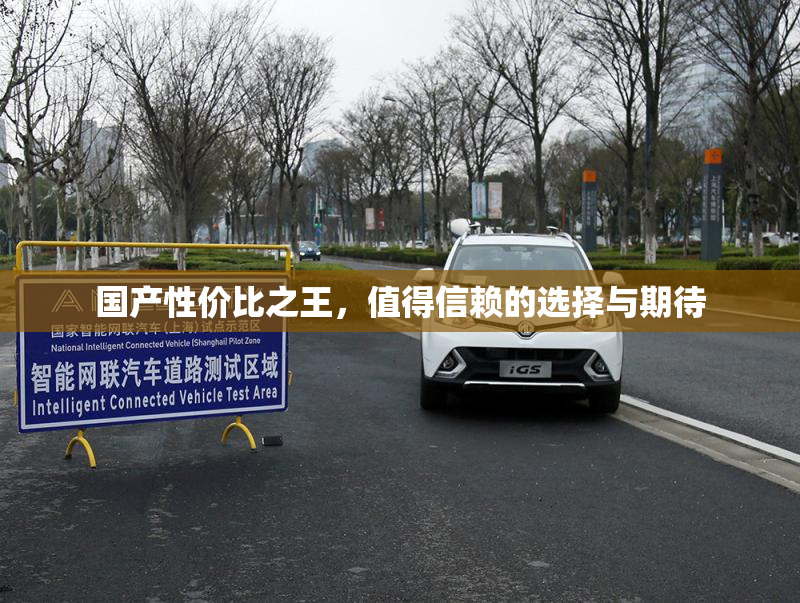 国产性价比之王，值得信赖的选择与期待