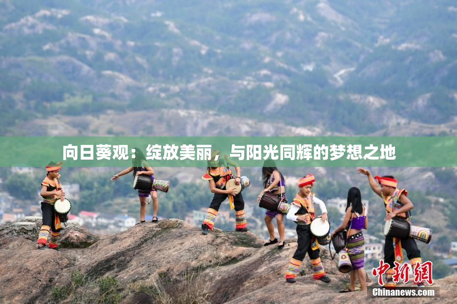 向日葵观：绽放美丽，与阳光同辉的梦想之地