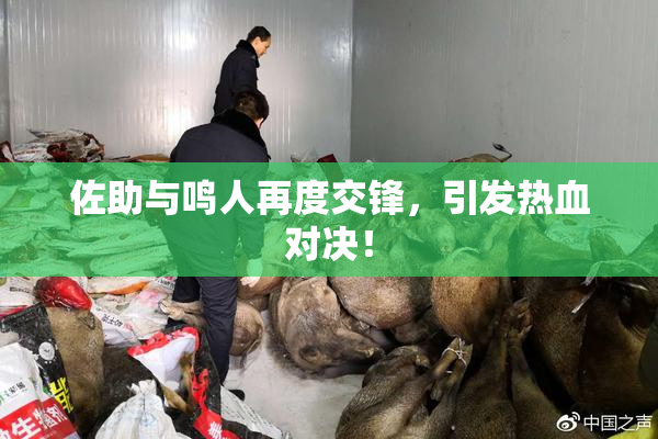 佐助与鸣人再度交锋，引发热血对决！