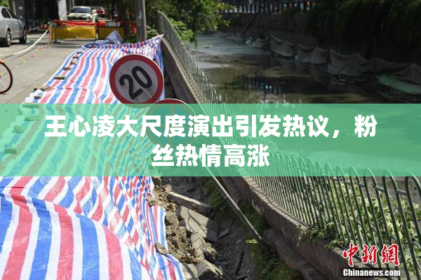 王心凌大尺度演出引发热议，粉丝热情高涨