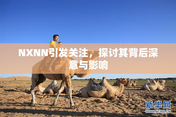 NXNN引发关注，探讨其背后深意与影响
