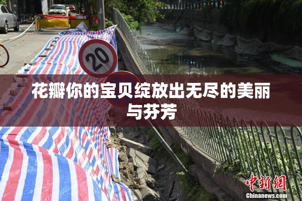 花瓣你的宝贝绽放出无尽的美丽与芬芳