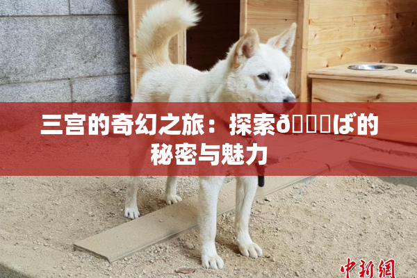 三宫的奇幻之旅：探索😚ば的秘密与魅力