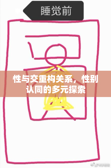 性与交重构关系，性别认同的多元探索