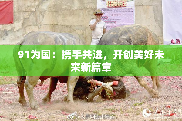 91为国：携手共进，开创美好未来新篇章
