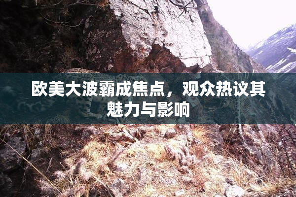 欧美大波霸成焦点，观众热议其魅力与影响