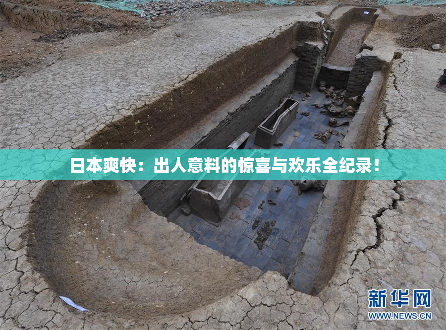 日本爽快：出人意料的惊喜与欢乐全纪录！