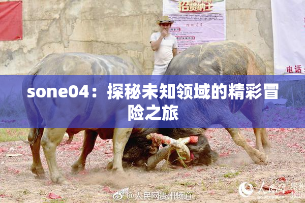 sone04：探秘未知领域的精彩冒险之旅