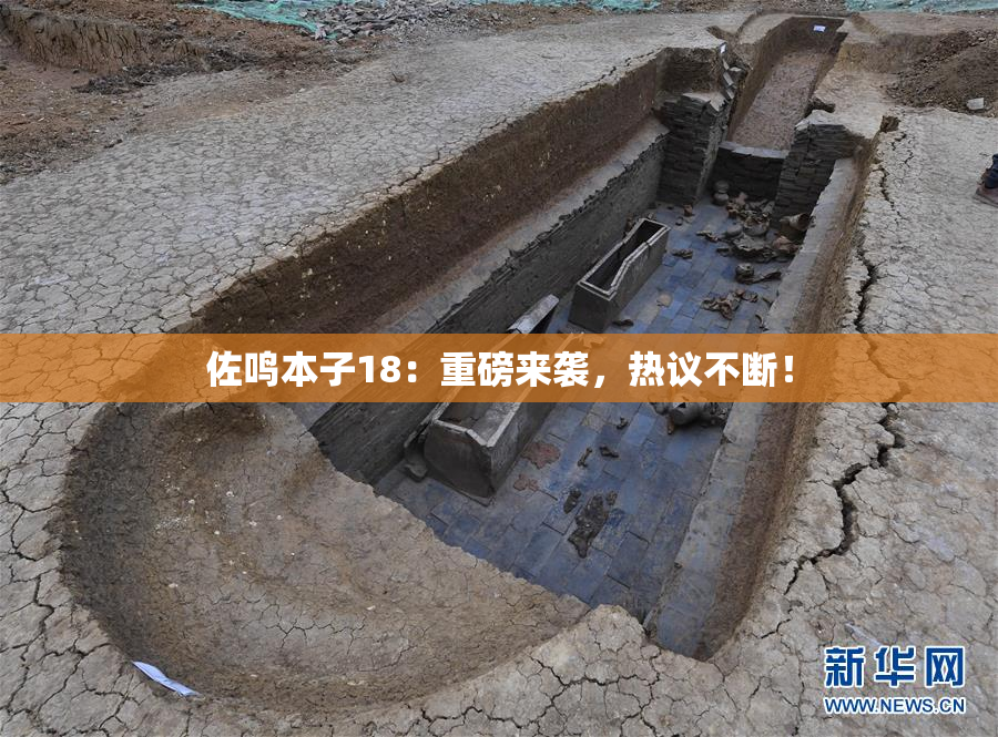 佐鸣本子18：重磅来袭，热议不断！