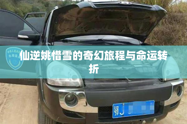 仙逆姚惜雪的奇幻旅程与命运转折