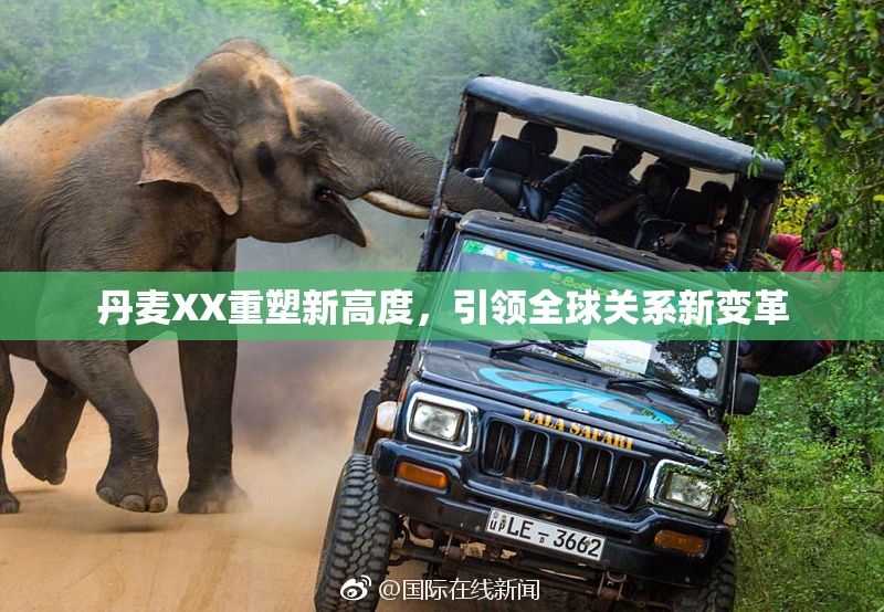 丹麦XX重塑新高度，引领全球关系新变革