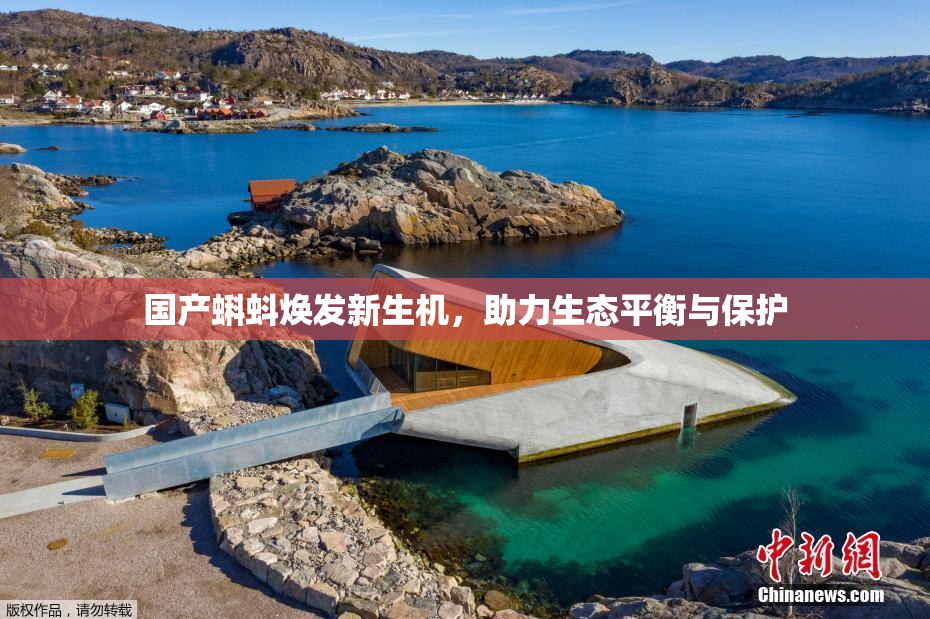 国产蝌蚪焕发新生机，助力生态平衡与保护