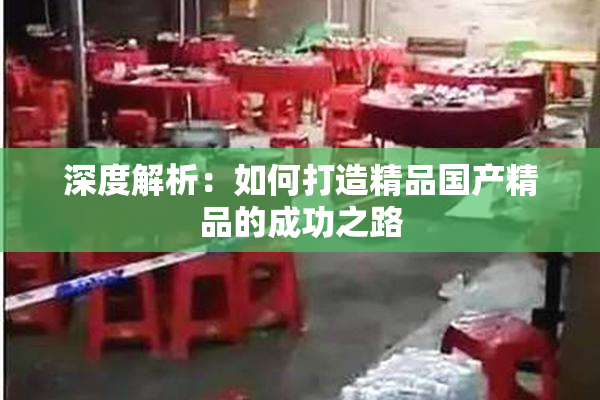 深度解析：如何打造精品国产精品的成功之路