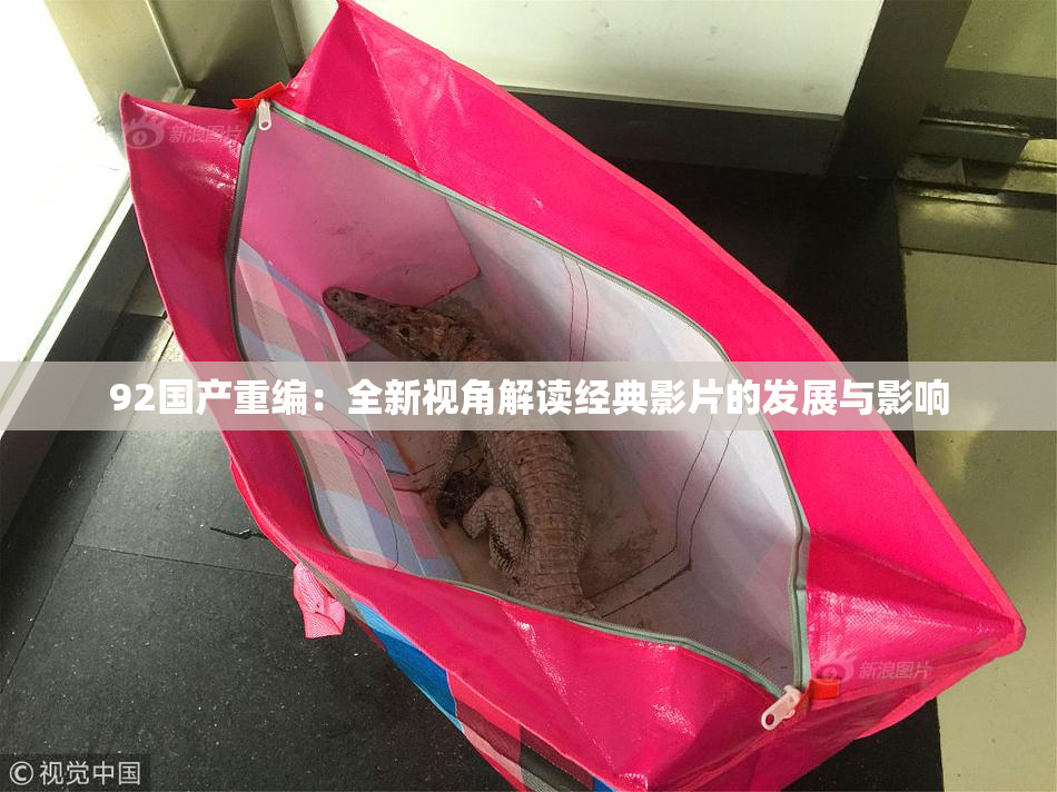 92国产重编：全新视角解读经典影片的发展与影响