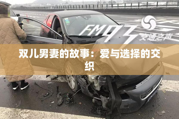双儿男妻的故事：爱与选择的交织