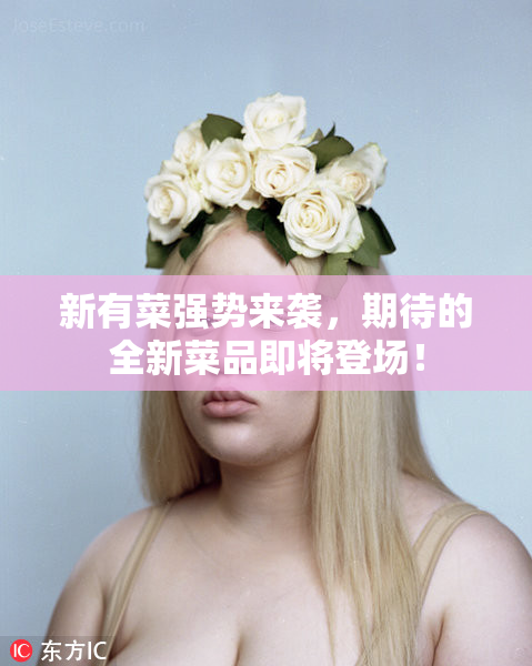 新有菜强势来袭，期待的全新菜品即将登场！