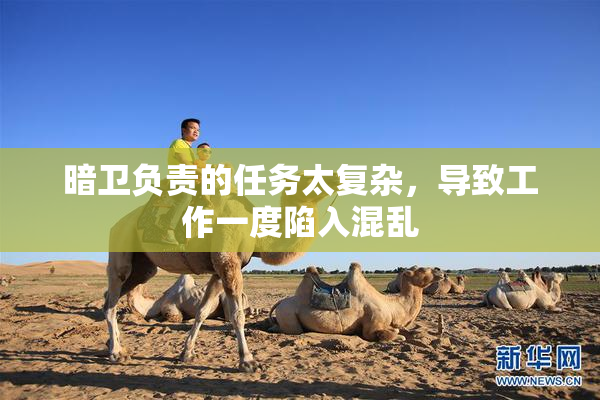 暗卫负责的任务太复杂，导致工作一度陷入混乱