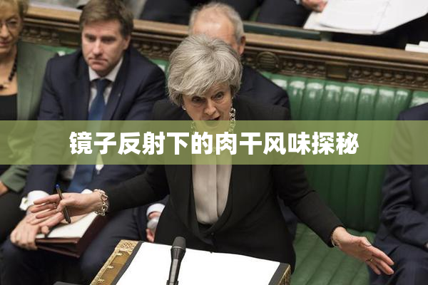 镜子反射下的肉干风味探秘