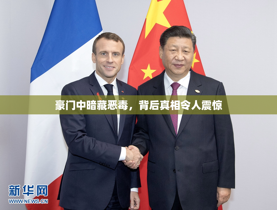 豪门中暗藏恶毒，背后真相令人震惊