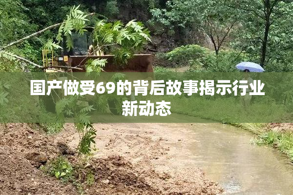 国产做受69的背后故事揭示行业新动态