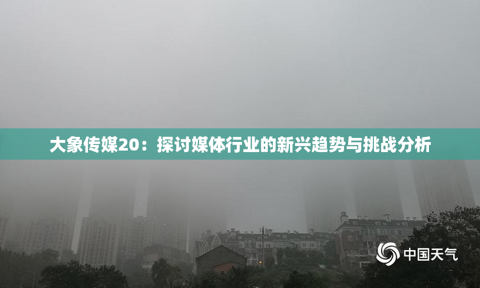 大象传媒20：探讨媒体行业的新兴趋势与挑战分析
