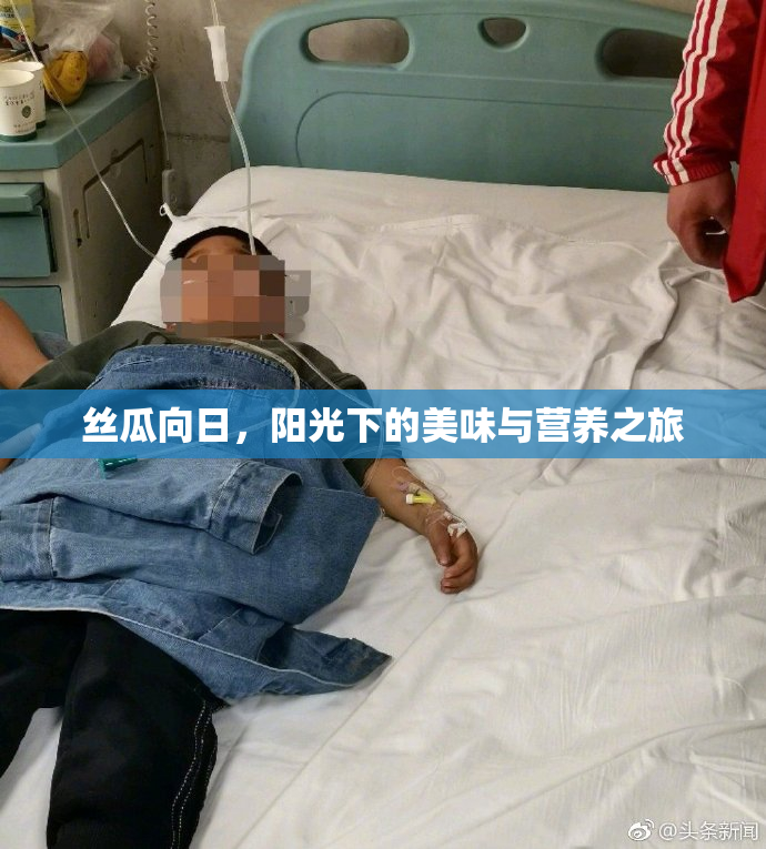 丝瓜向日，阳光下的美味与营养之旅