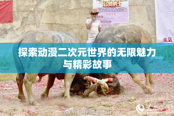 探索动漫二次元世界的无限魅力与精彩故事