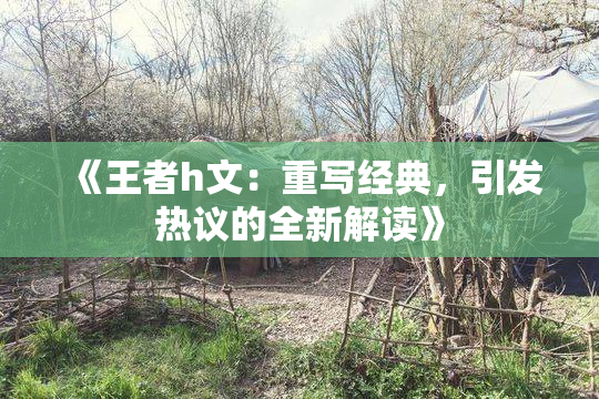 《王者h文：重写经典，引发热议的全新解读》