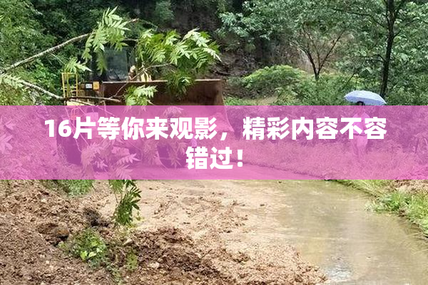 16片等你来观影，精彩内容不容错过！