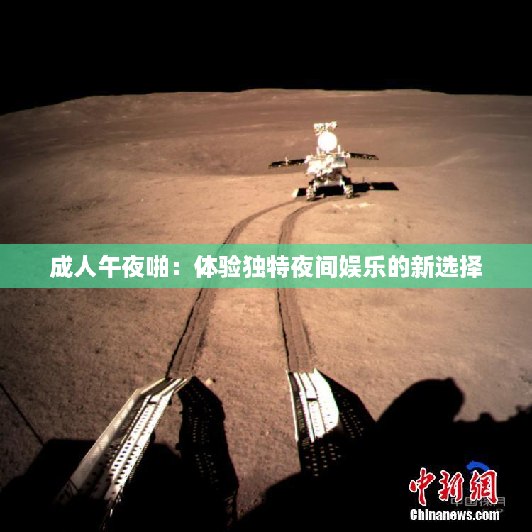 成人午夜啪：体验独特夜间娱乐的新选择