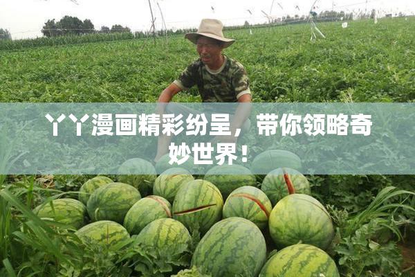 丫丫漫画精彩纷呈，带你领略奇妙世界！