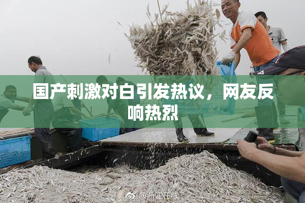 国产刺激对白引发热议，网友反响热烈