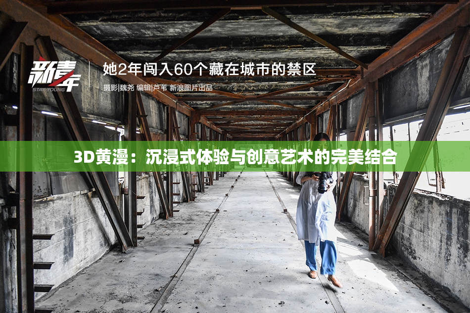 3D黄漫：沉浸式体验与创意艺术的完美结合