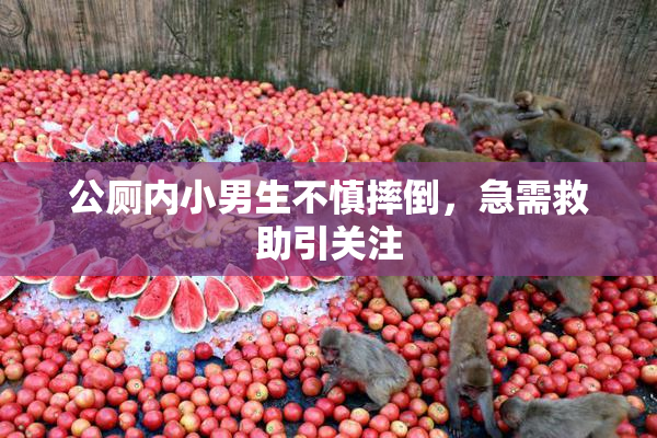公厕内小男生不慎摔倒，急需救助引关注