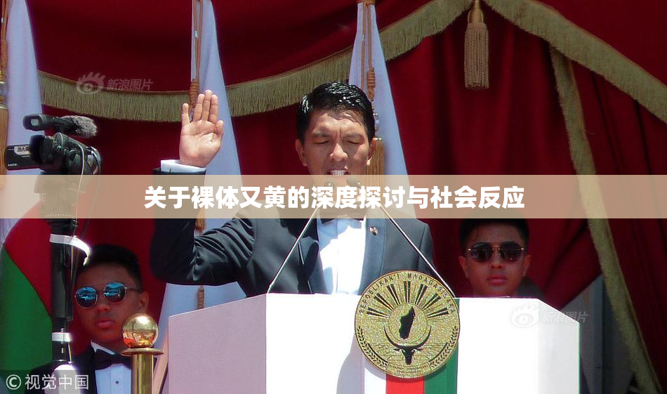 关于裸体又黄的深度探讨与社会反应