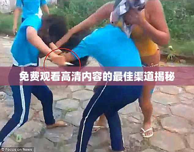 免费观看高清内容的最佳渠道揭秘