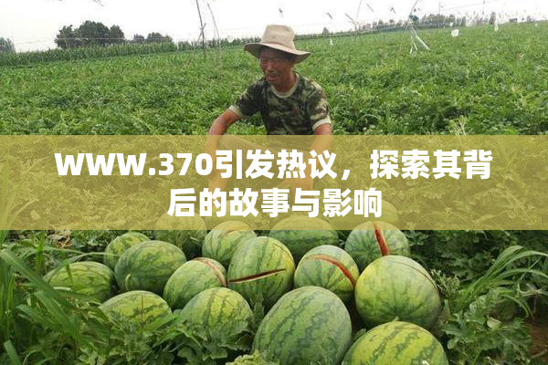 WWW.370引发热议，探索其背后的故事与影响