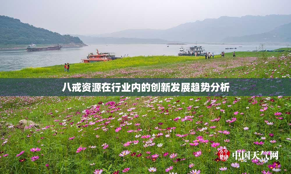 八戒资源在行业内的创新发展趋势分析