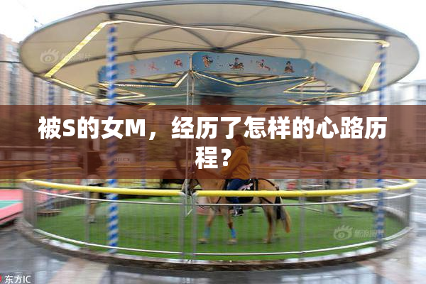 被S的女M，经历了怎样的心路历程？