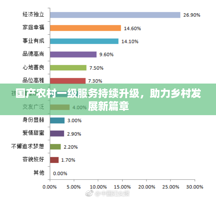 国产农村一级服务持续升级，助力乡村发展新篇章