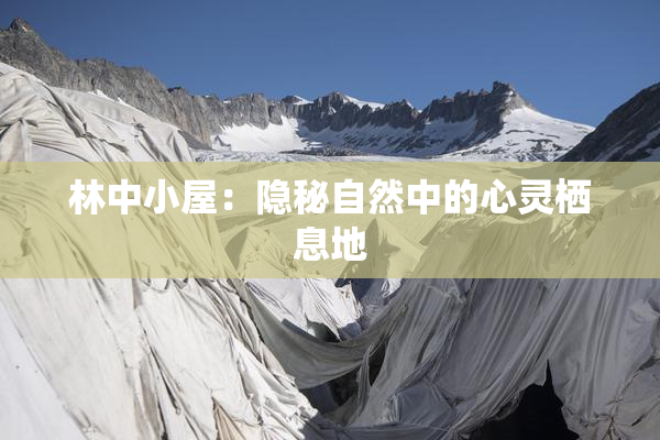 林中小屋：隐秘自然中的心灵栖息地
