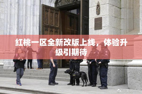 红桃一区全新改版上线，体验升级引期待