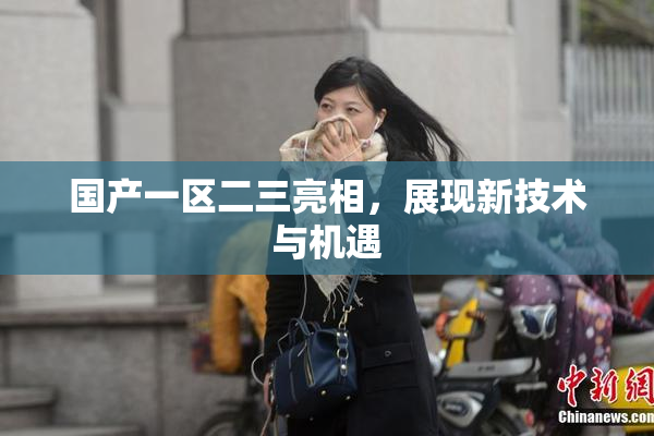 国产一区二三亮相，展现新技术与机遇